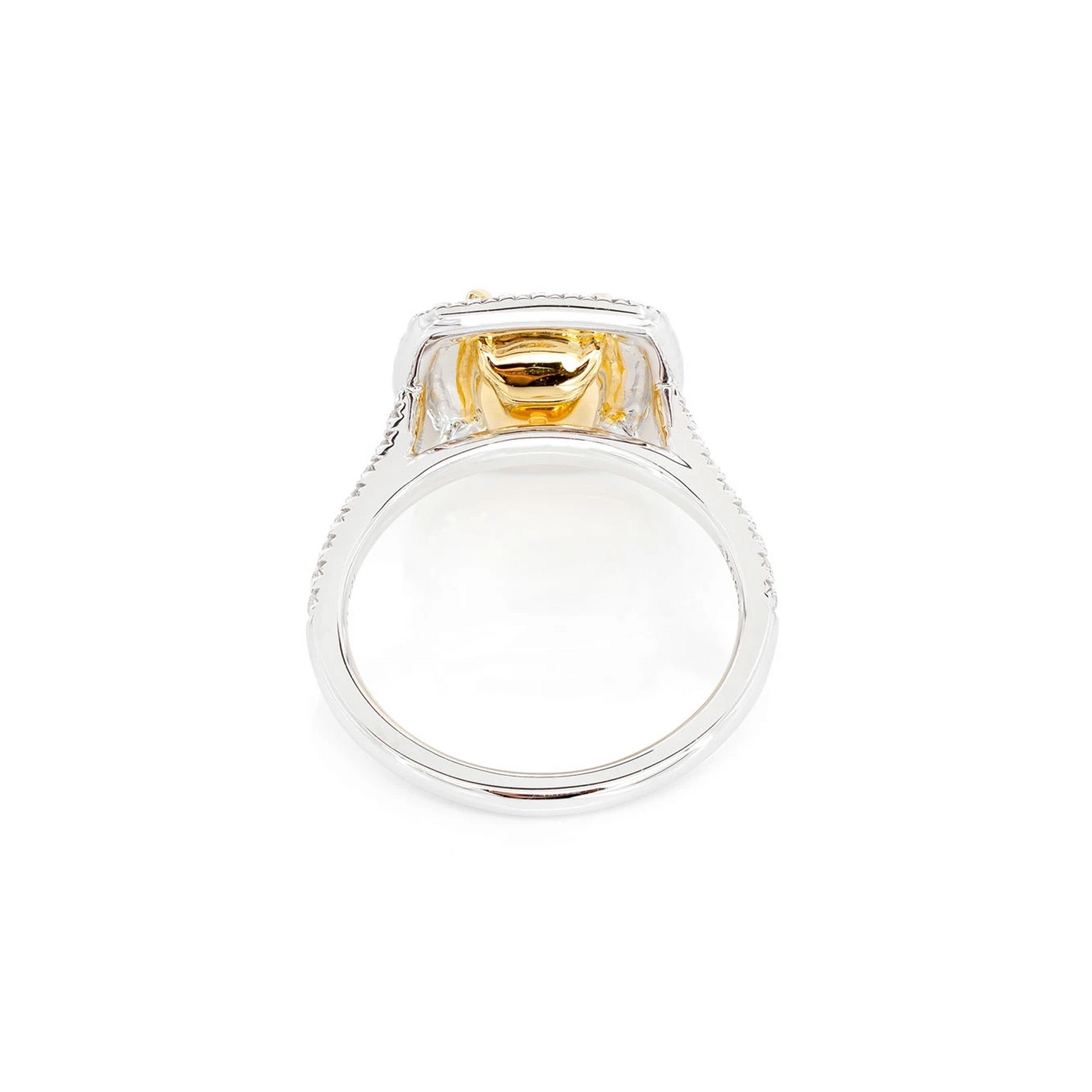 Classic Yellow Diamond Double Halo Engagement Ring in two-tone 14k gold, detail view