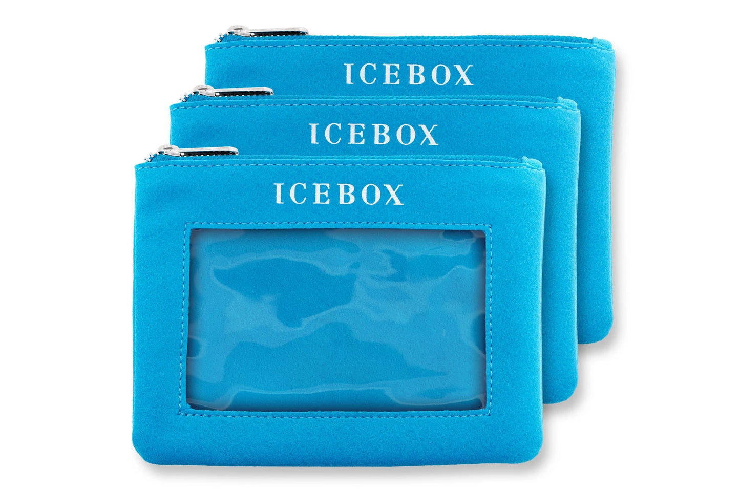 Icebox 3 Zipper Travel Pouches in Large, exterior view