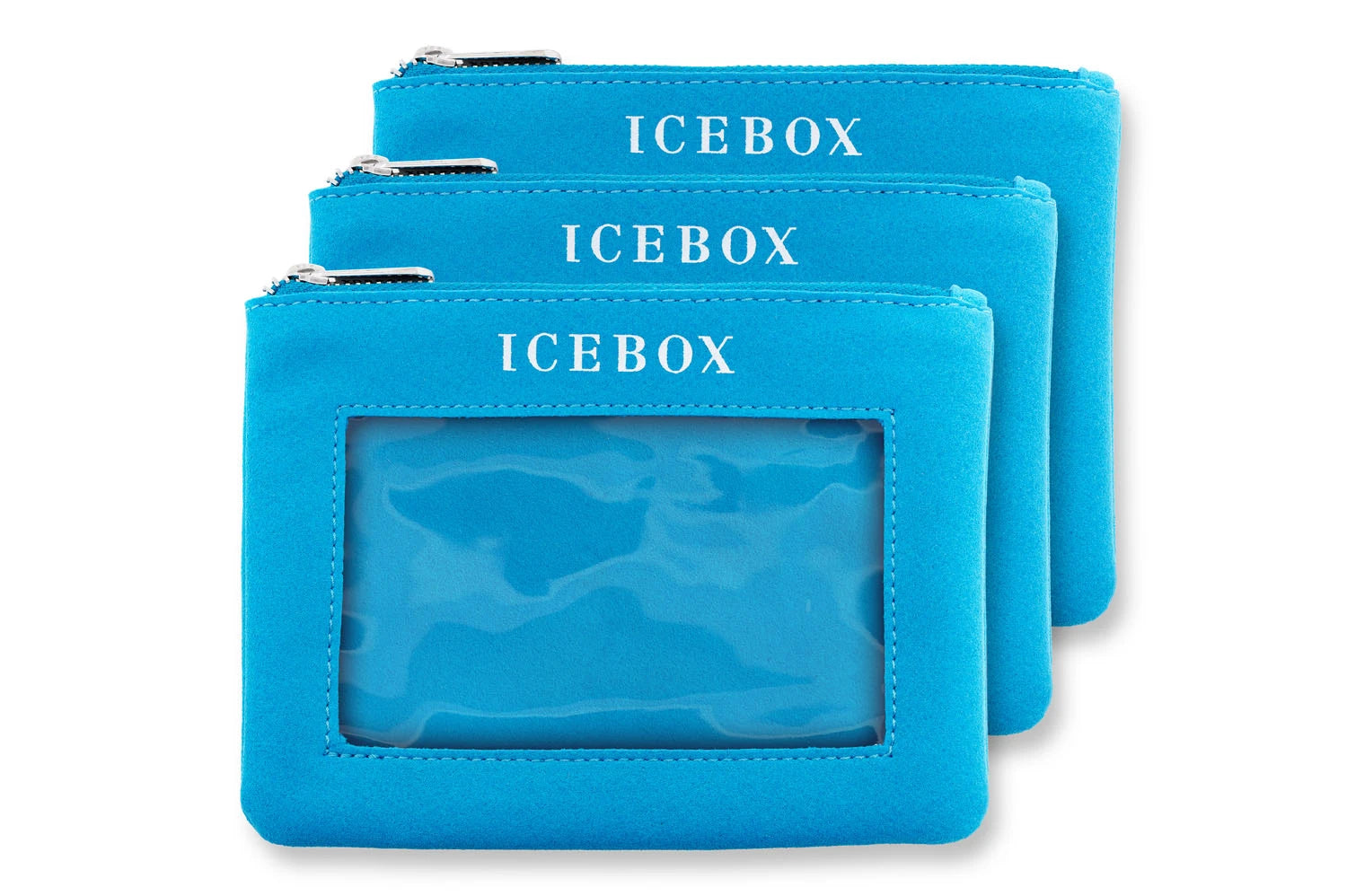 Icebox 3 Zipper Travel Pouches in Large, exterior view
