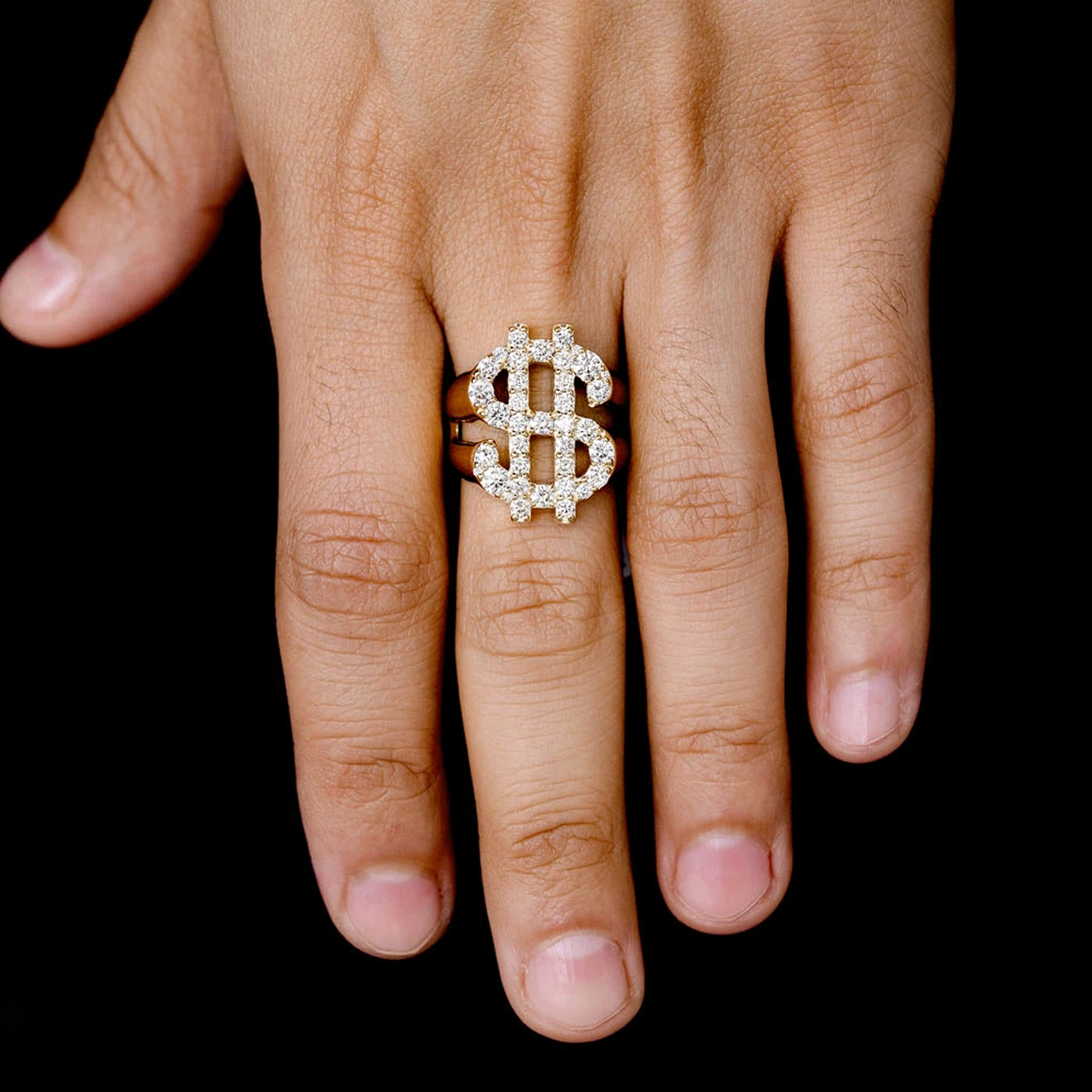Dollar Sign Signet Ring in 14K rose gold, alternate view