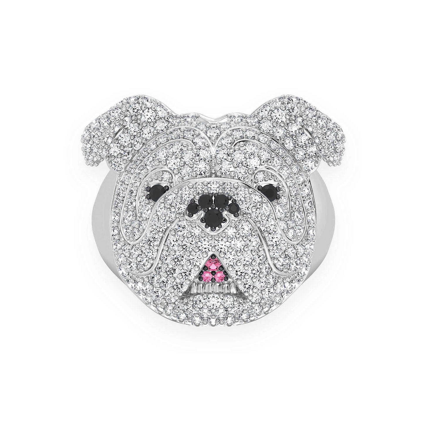 Bulldog Signet Diamond Ring in 14K white gold, front view
