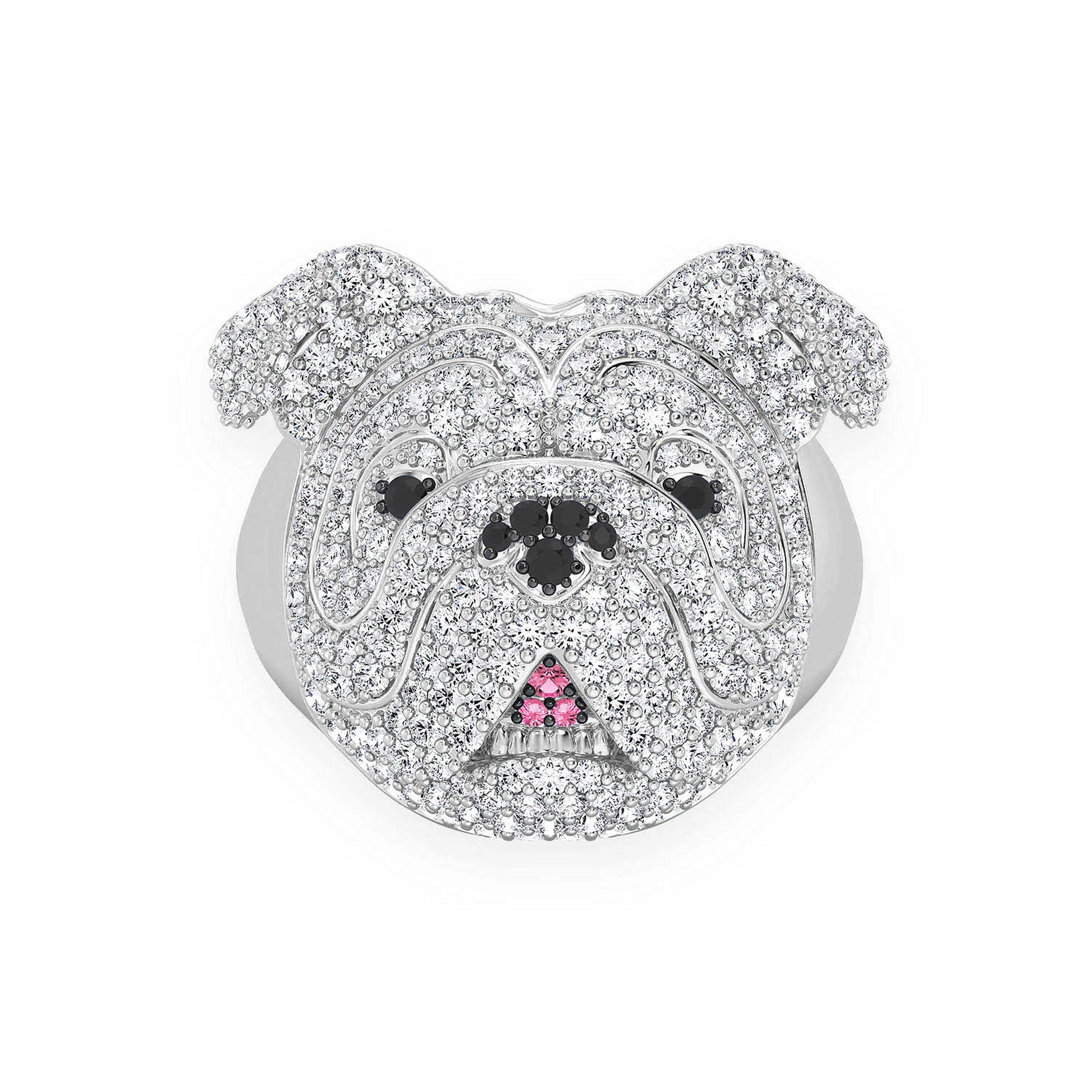 Bulldog Signet Diamond Ring in 14K white gold, front view