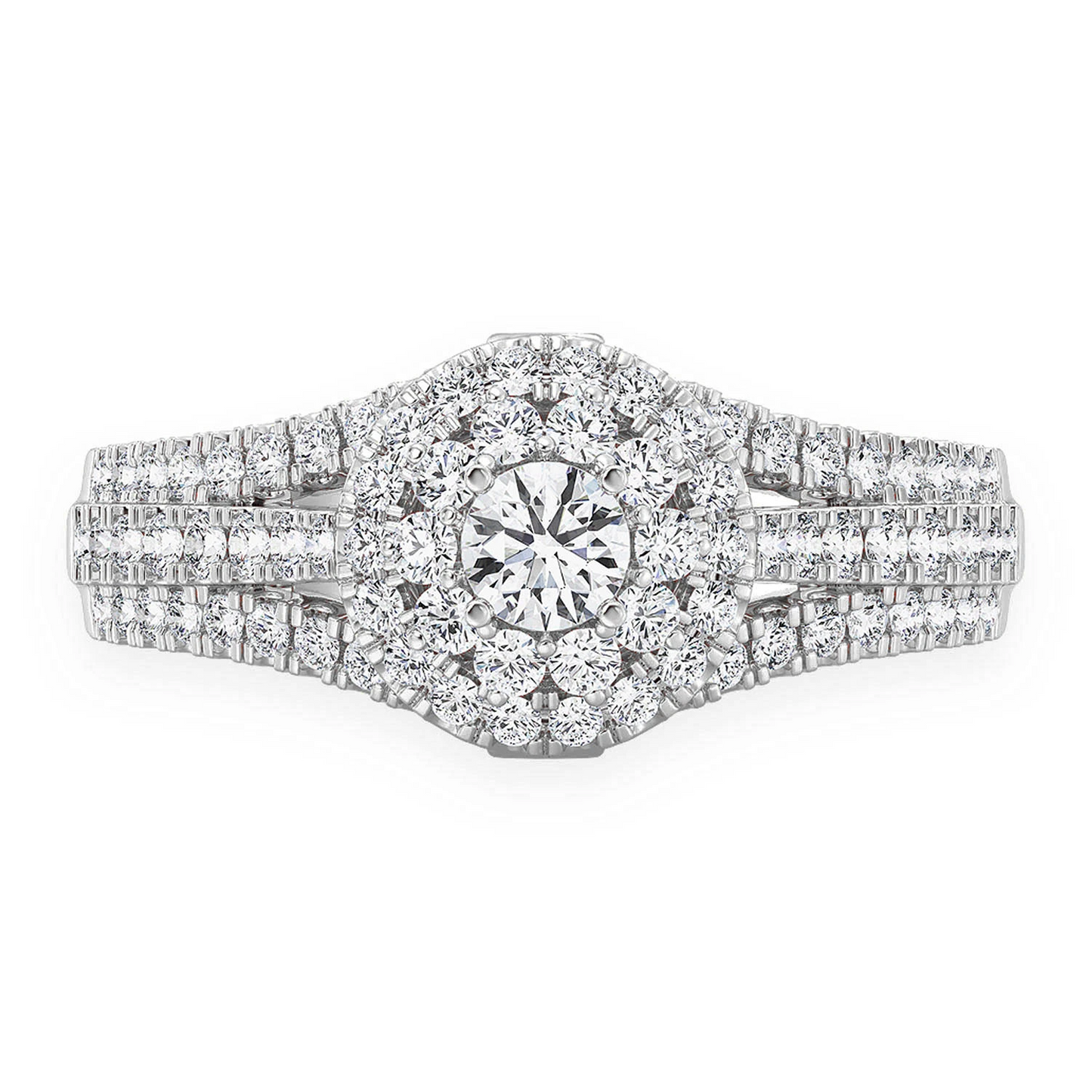 Round Double Halo Diamond Ring in 14K white gold, front view