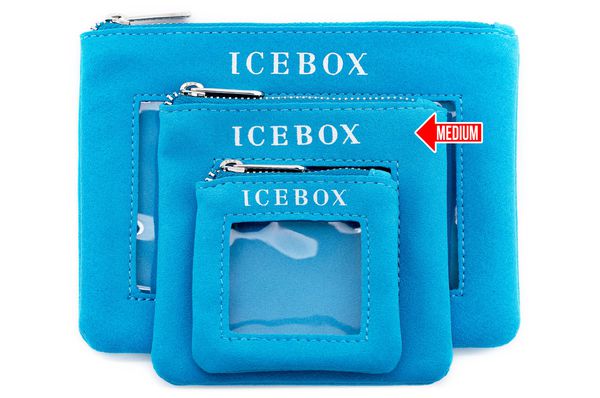 Icebox 3 Medium Zipper Travel Jewelry Pouches 