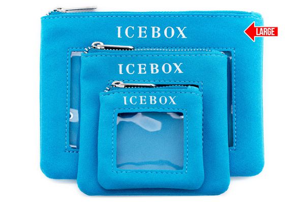 Icebox 3 Large Zipper Travel Window Pouches