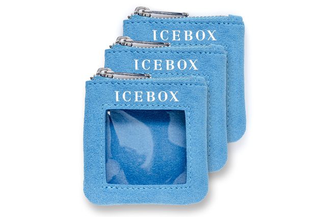 Icebox 3 Small Zipper Travel Jewelry Pouches
